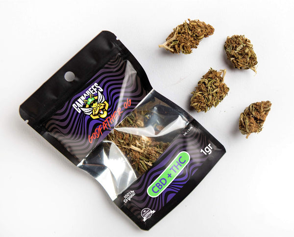 Cannabees God Father CBD +THC <0,3